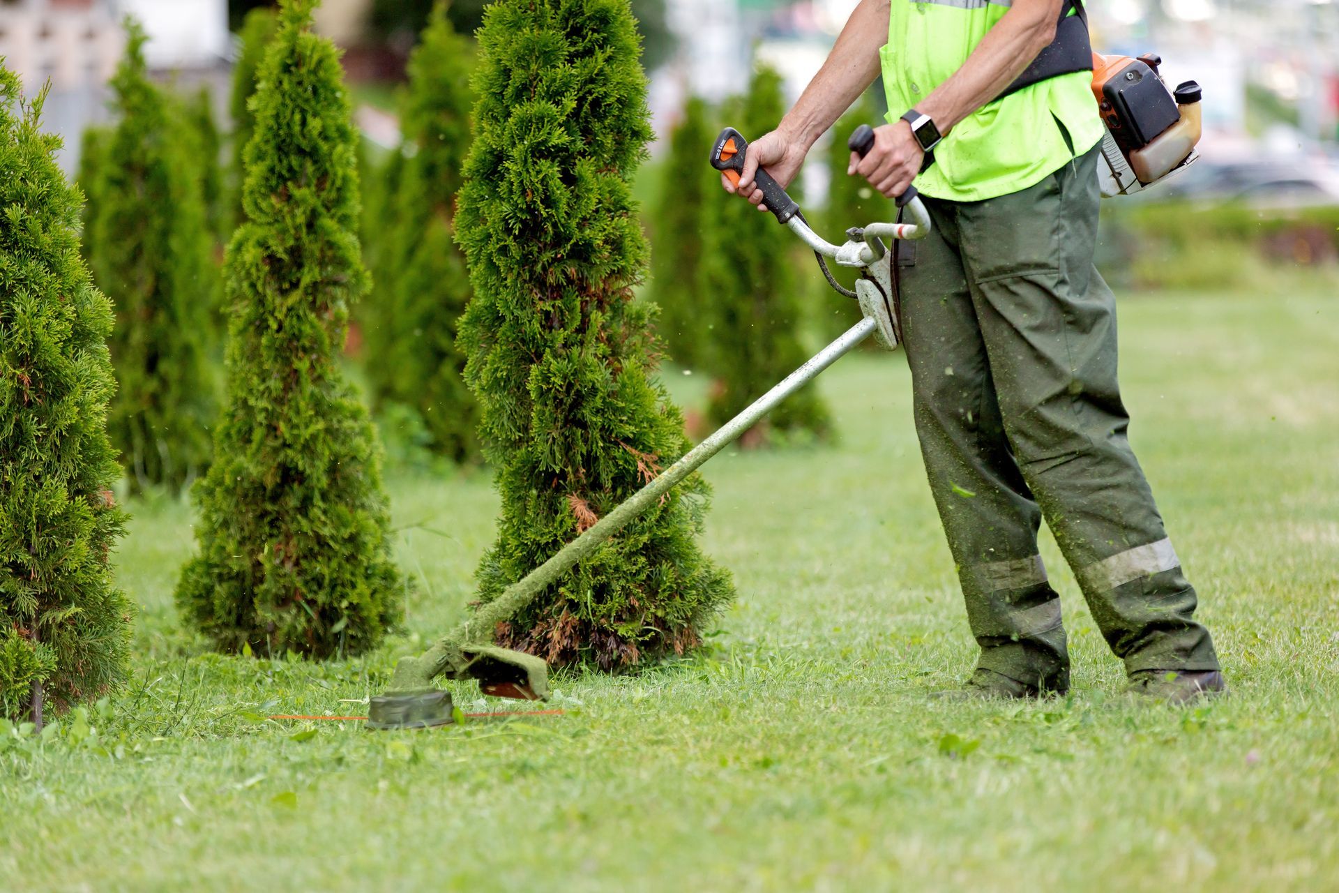 Une personne portant un gilet de sécurité vert utilise un coupe-herbe pour couper l'herbe près des arbres verts.