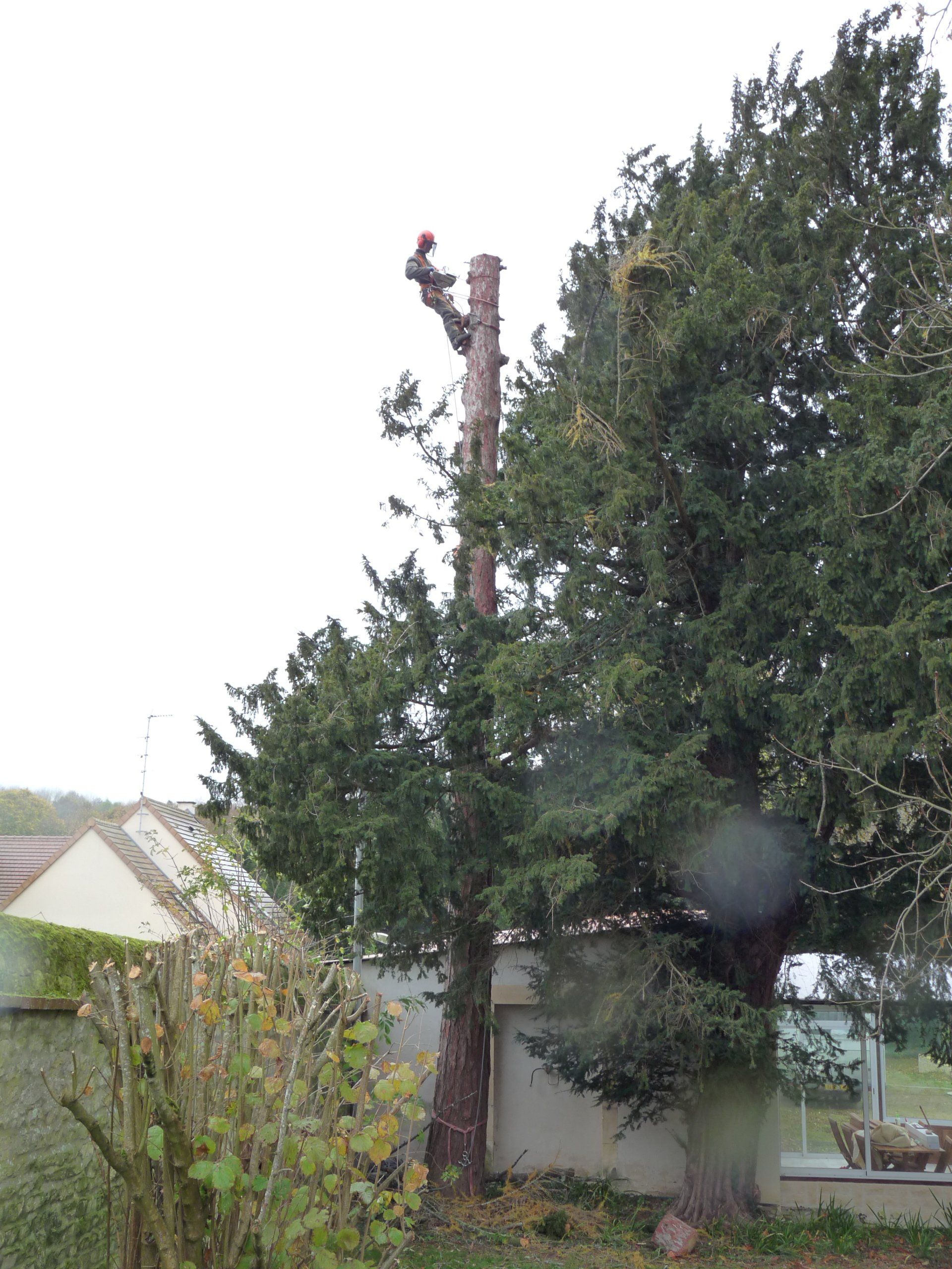 Jardinier paysagiste