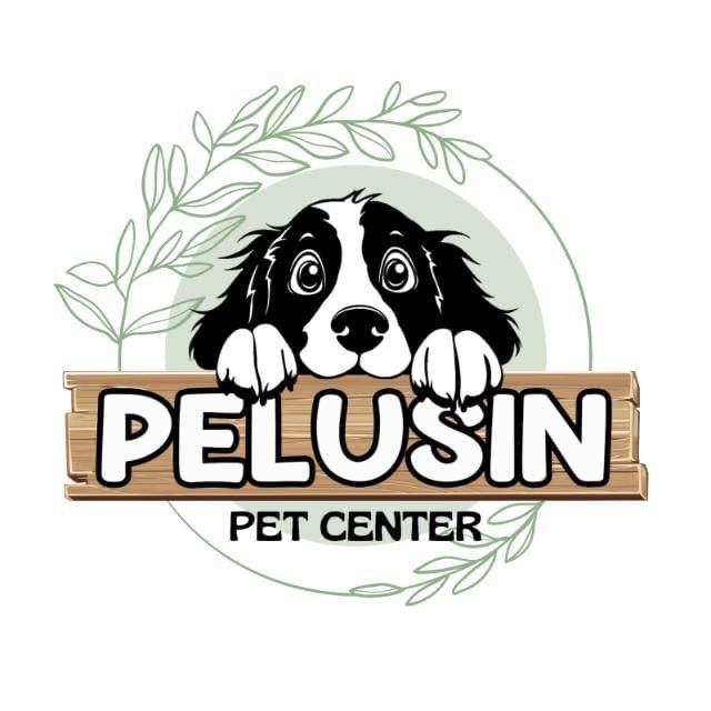 Perro mirando por encima de un cartel de madera que dice "PELUSIN PET CENTER", con hojas en el fondo.