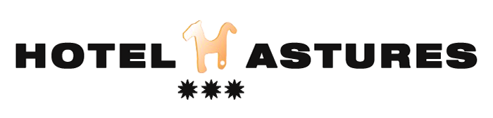 Hotel Astures