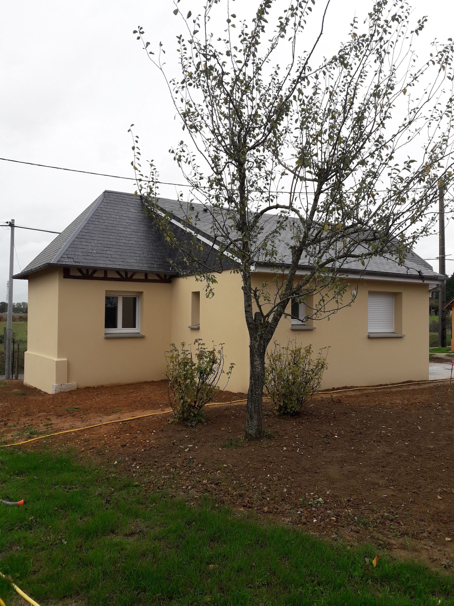 Maison beige au toit noir, petit arbre devant, sur un sol brun, herbe verte.