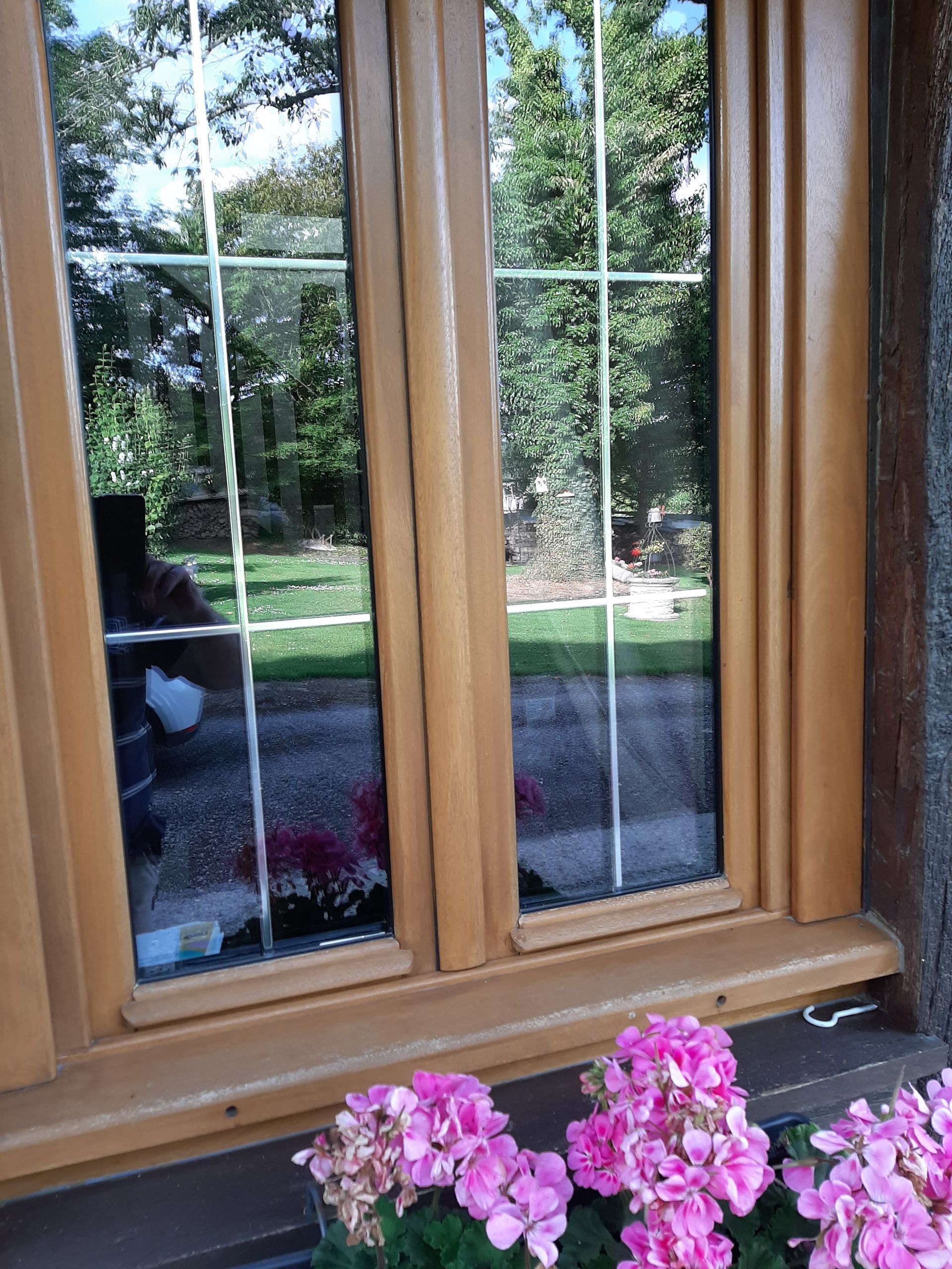 Fenêtre à cadre marron, reflétant un jardin verdoyant et des arbres, avec des fleurs roses dans une jardinière en dessous.