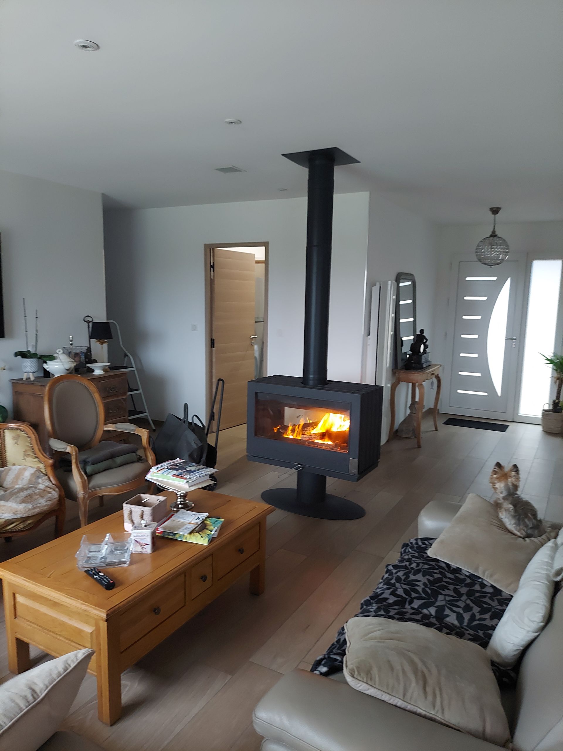 Salon avec cheminée moderne, canapé et petit chien.