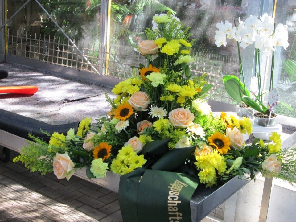 gelbe und grüne Pflanzen