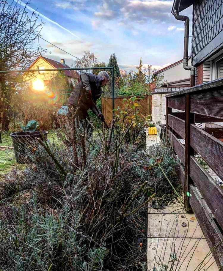 Gartenpflege in Aktion