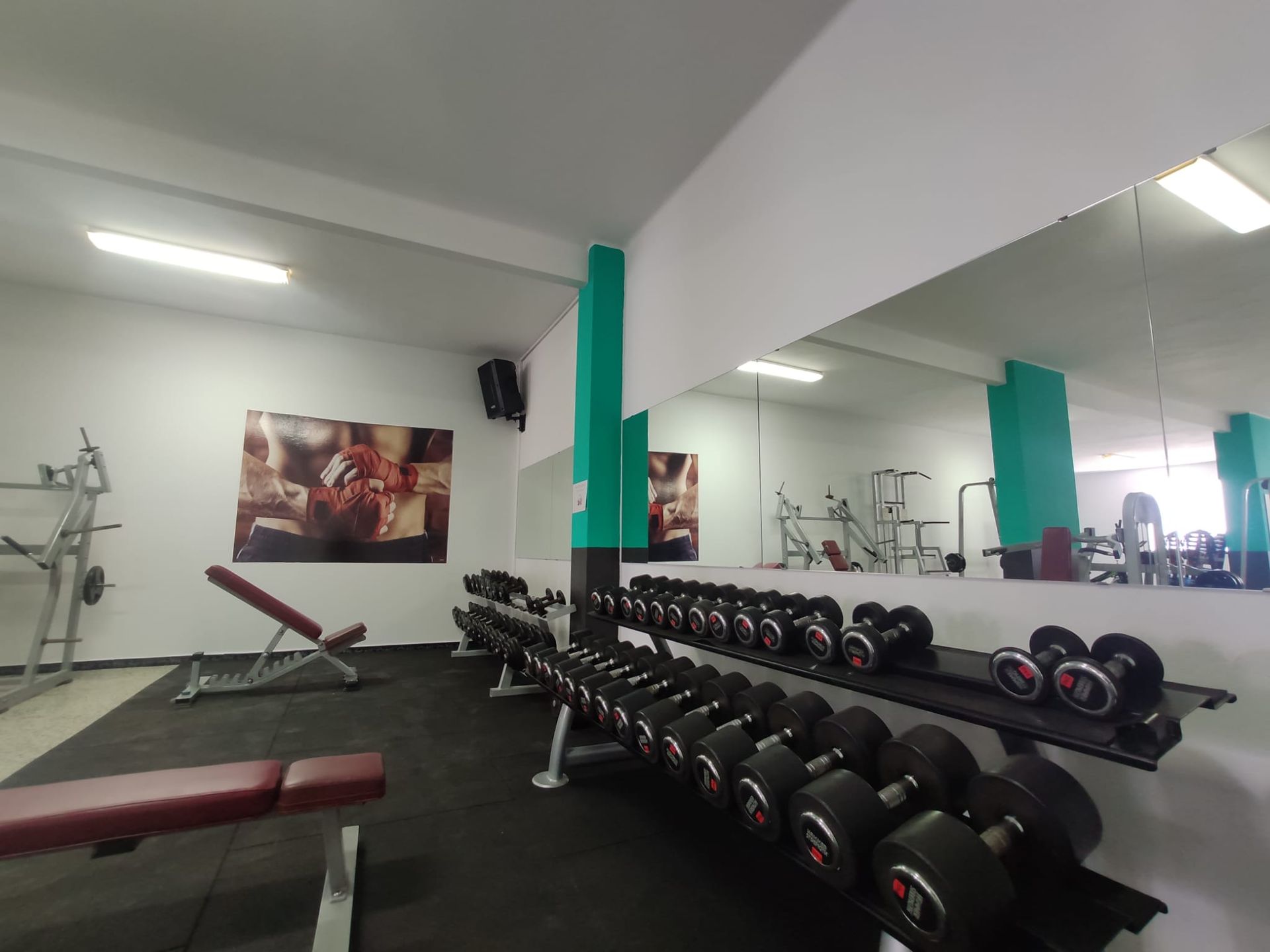 Un gimnasio con muchas mancuernas y un banco.