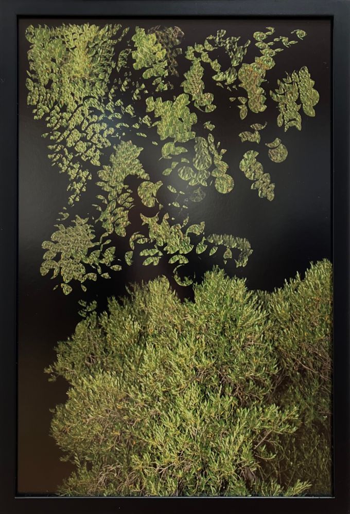 Bis die Sonne bricht #7