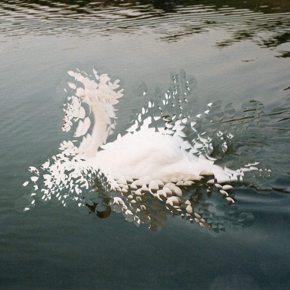 Bis die Sonne bricht #3