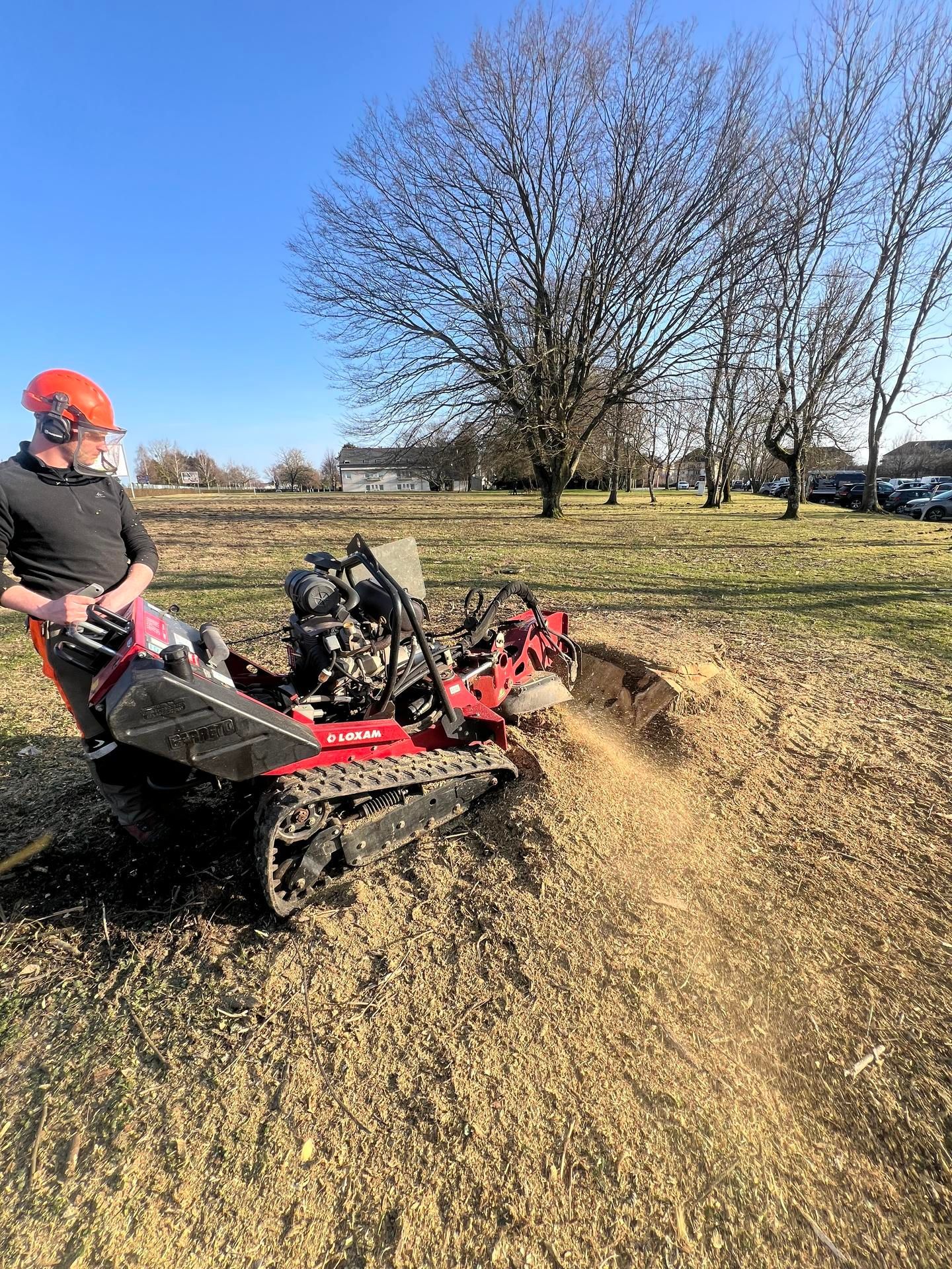 Personne utilisant une soucheuse rouge, créant des copeaux de bois dans une zone herbeuse avec des arbres et un ciel bleu.