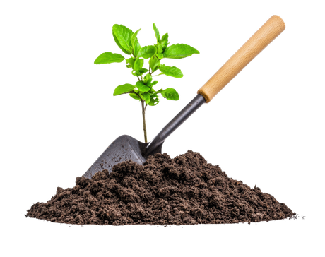 Plante sortant du sol, avec une truelle appuyée dessus.