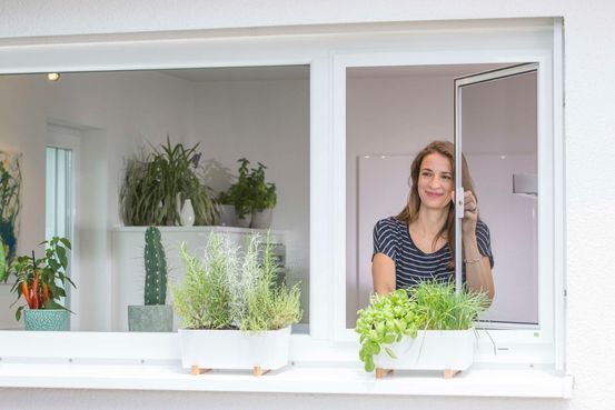 Insektenschutz Frau öffnet Drehrahmen Fenster