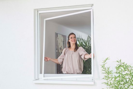 Insektenschutz Fenster Spannrahmen Monteur