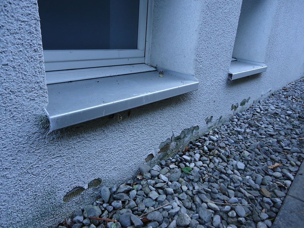 1_Schaden aufsteigende Feuchtigkeit