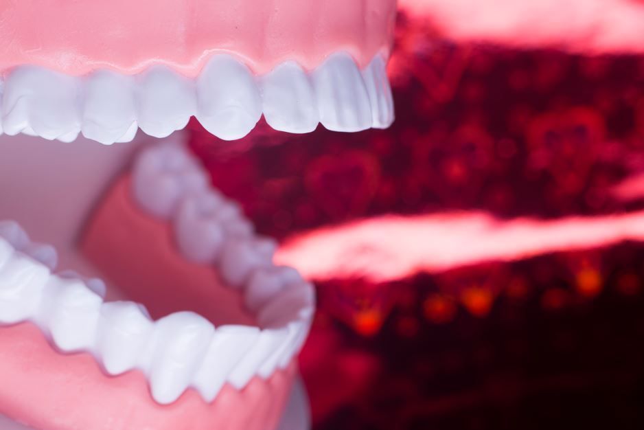 Modelo de dientes en una boca abierta