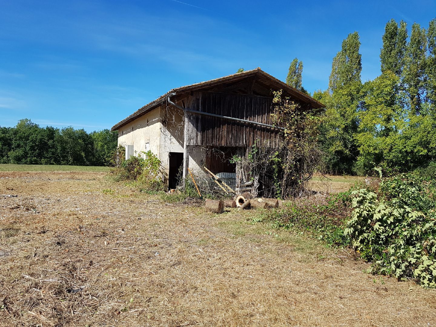 Grange en bois délabrée avec porte ouverte dans un champ, arbres en arrière-plan, ciel bleu.