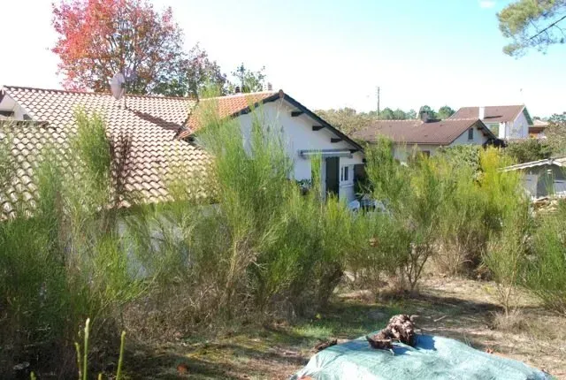 Des maisons blanches aux toits de tuiles, entourées de buissons verts et d'un arbre aux feuilles rouges.