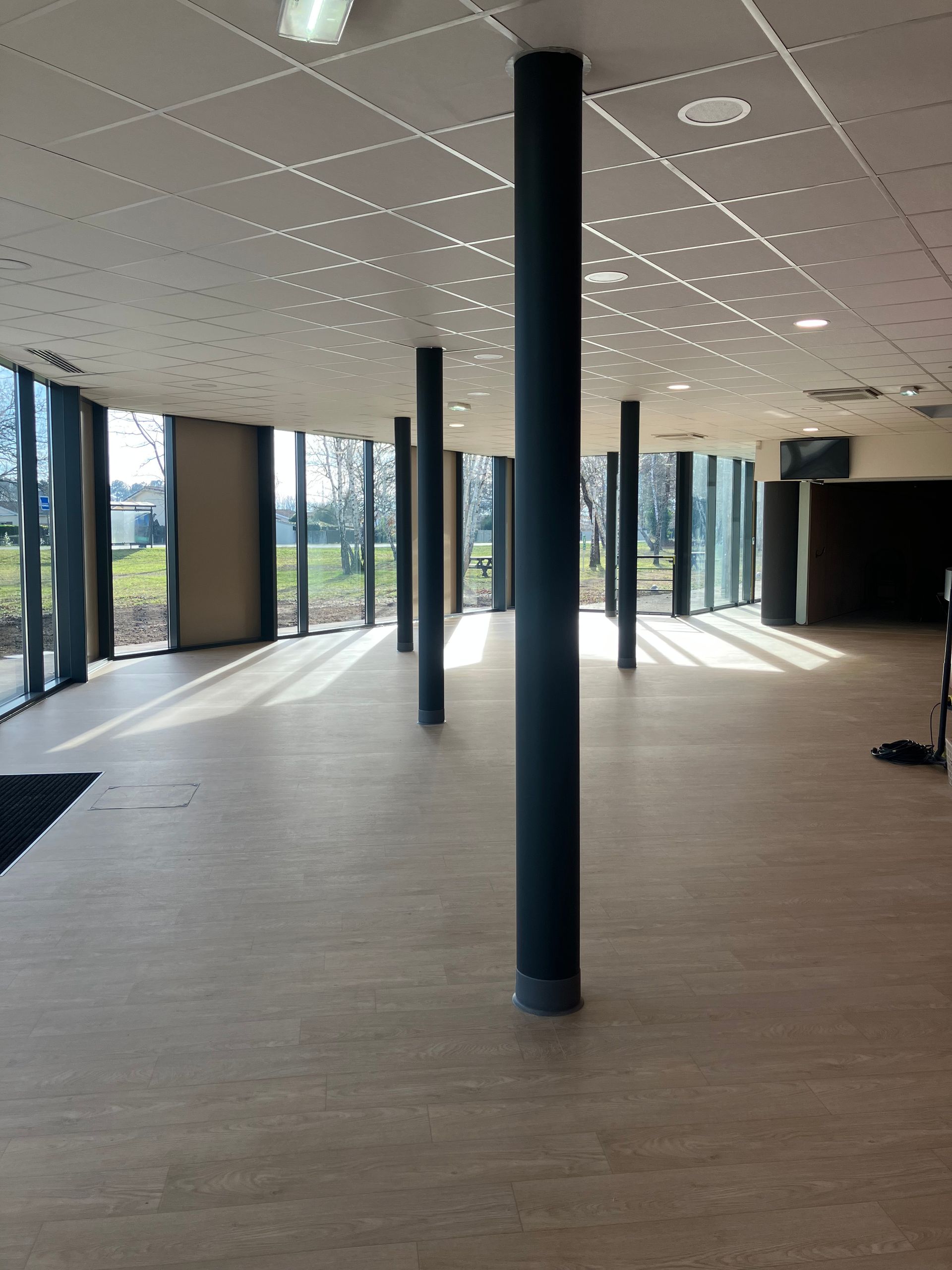 Une pièce vide avec de hautes colonnes noires et de grandes fenêtres donnant sur un espace vert.