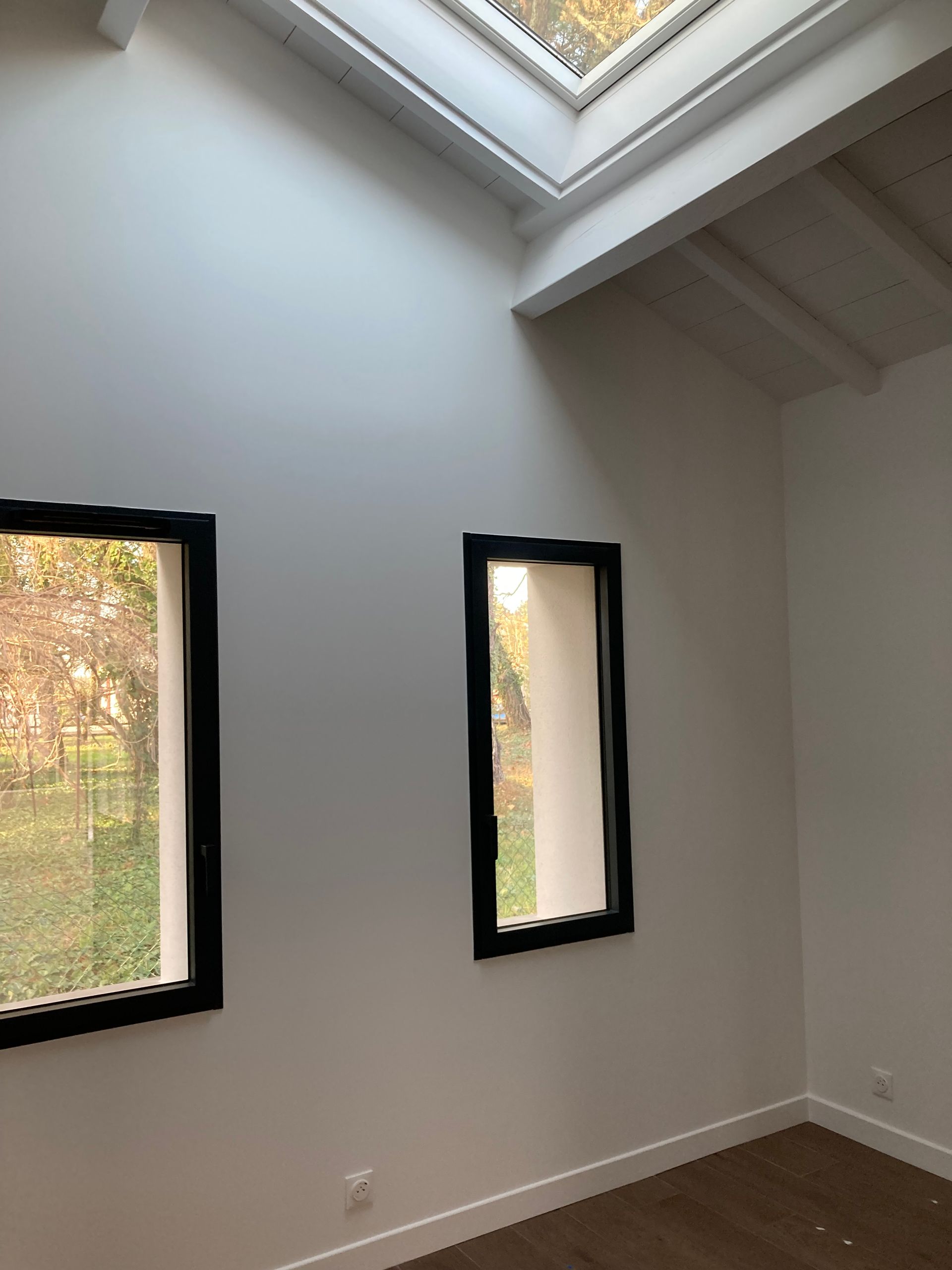 Vue intérieure d'une pièce avec deux fenêtres à cadre noir et un puits de lumière. Murs blancs et parquet.