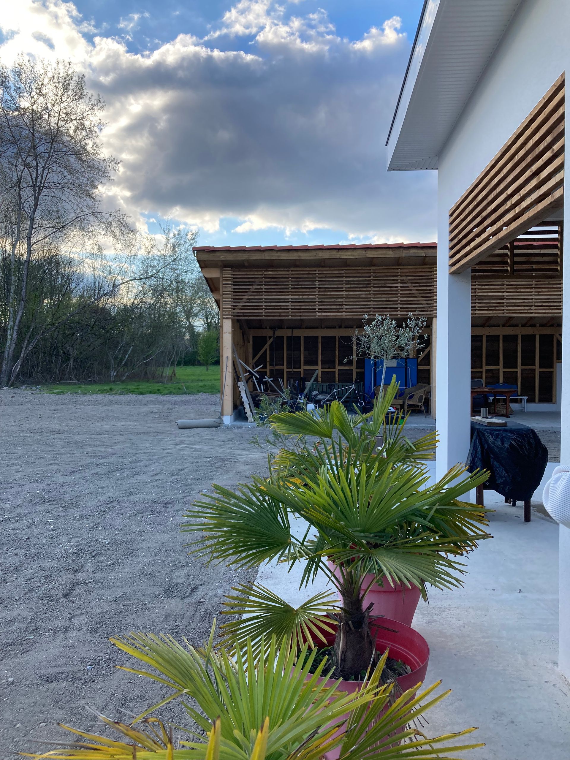 Des palmiers en pots rouges sur un porche masquent partiellement un bâtiment au toit à claire-voie. Ciel couvert.