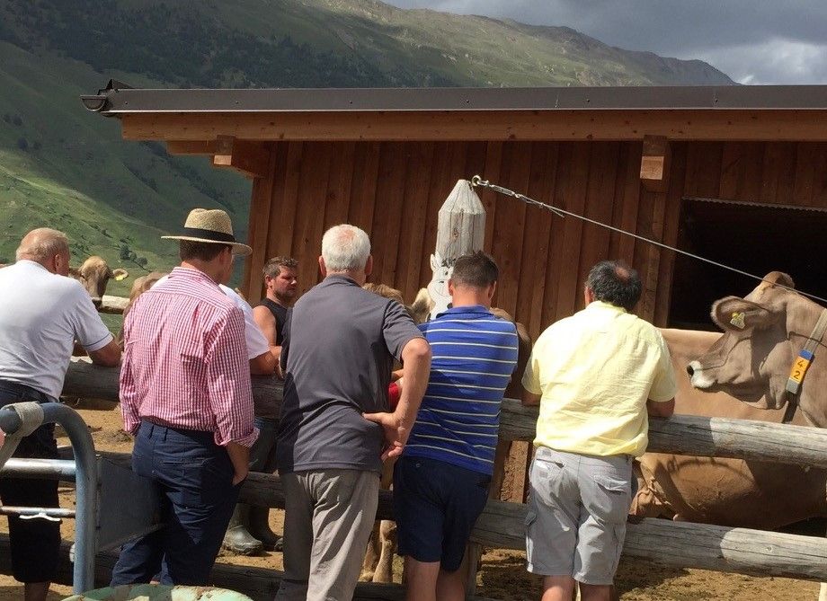 Käfer Carreisen GmbH