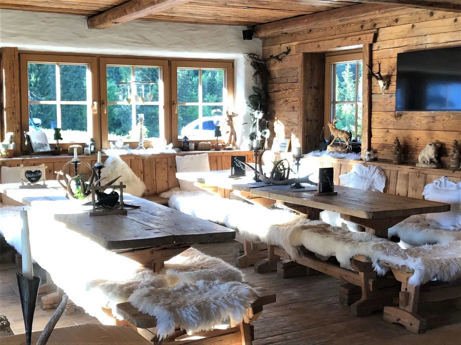 Käfer Carreisen GmbH