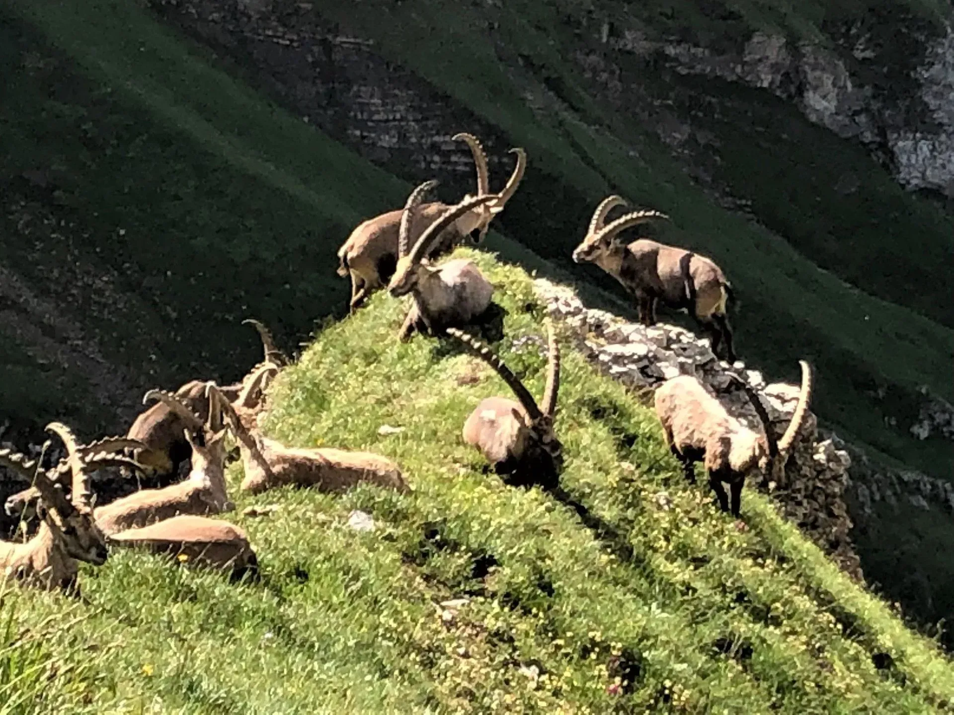 Käfer Carreisen GmbH