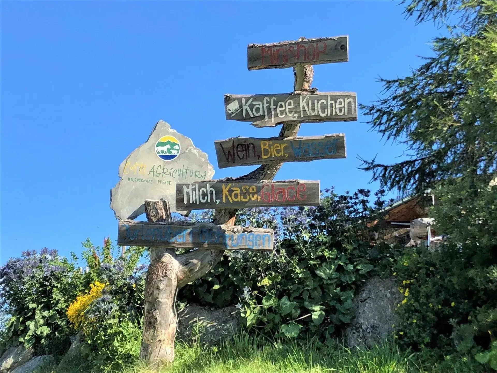 Käfer Carreisen GmbH