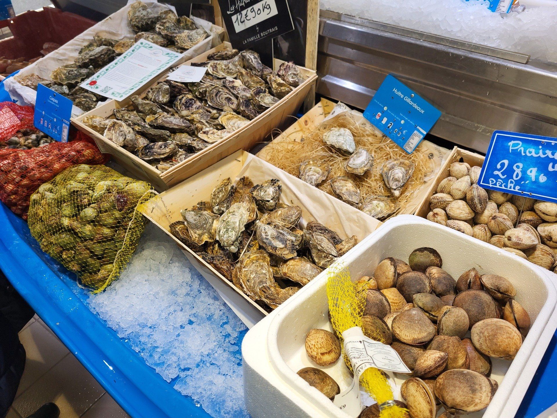 Étal d'huîtres et coques