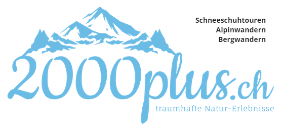 Logo - 2000plus.ch