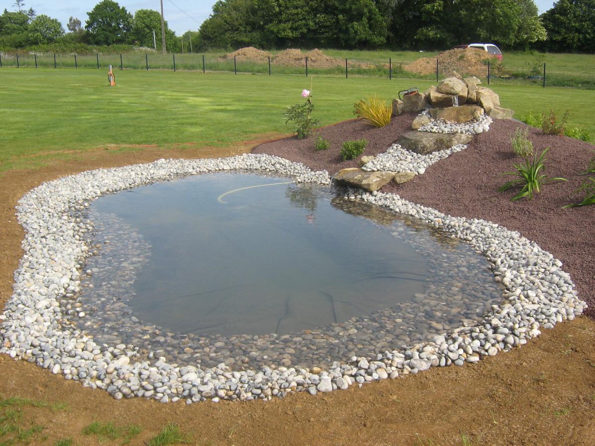 Une mare avec des galets.