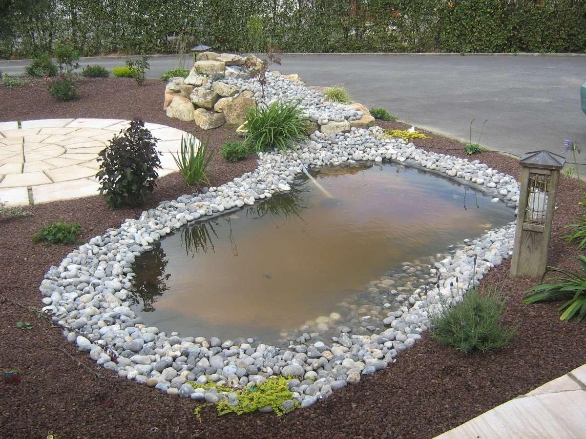 Une oasis avec des galets autour.