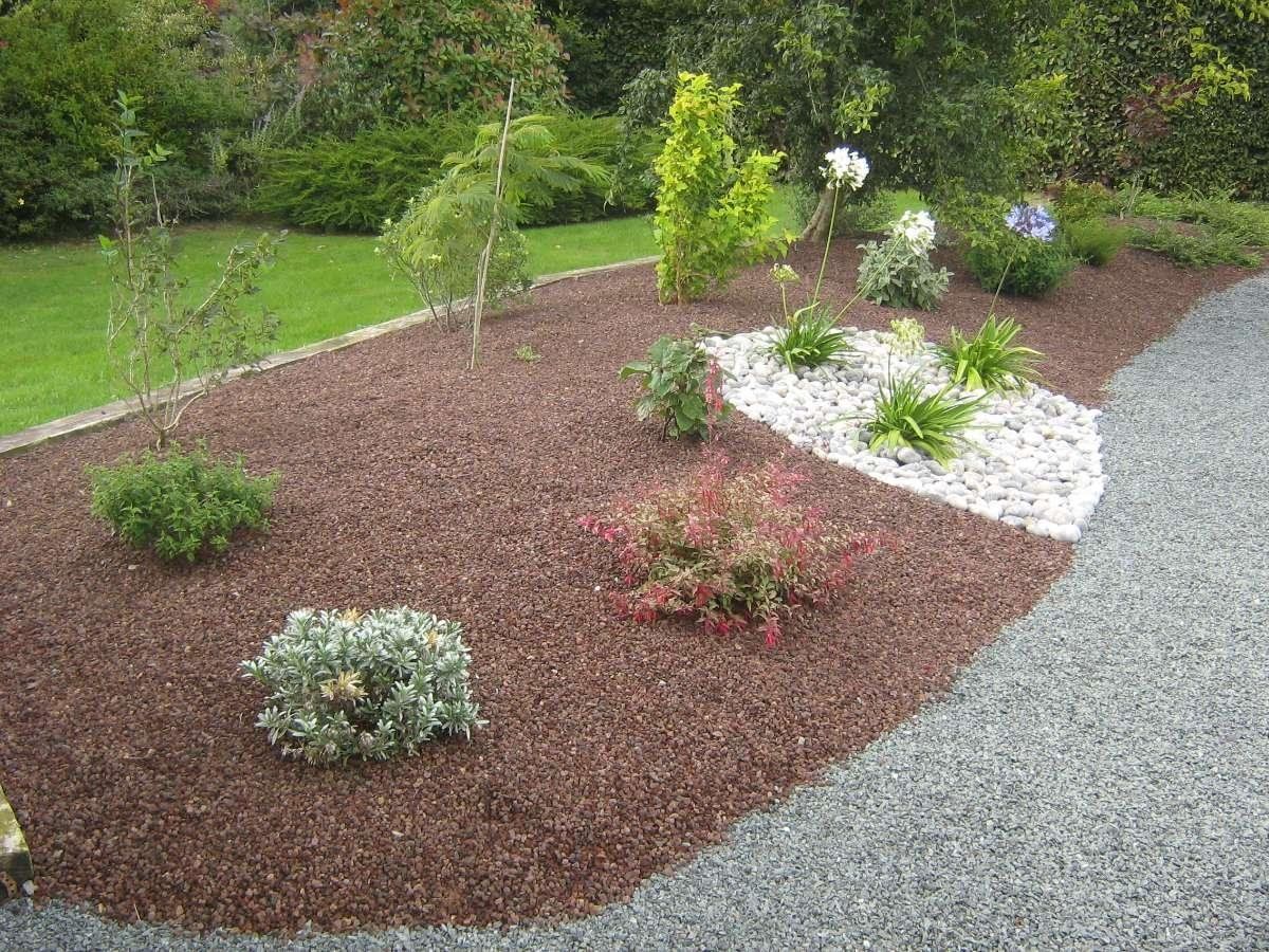 Un massif floral dans un jardin.