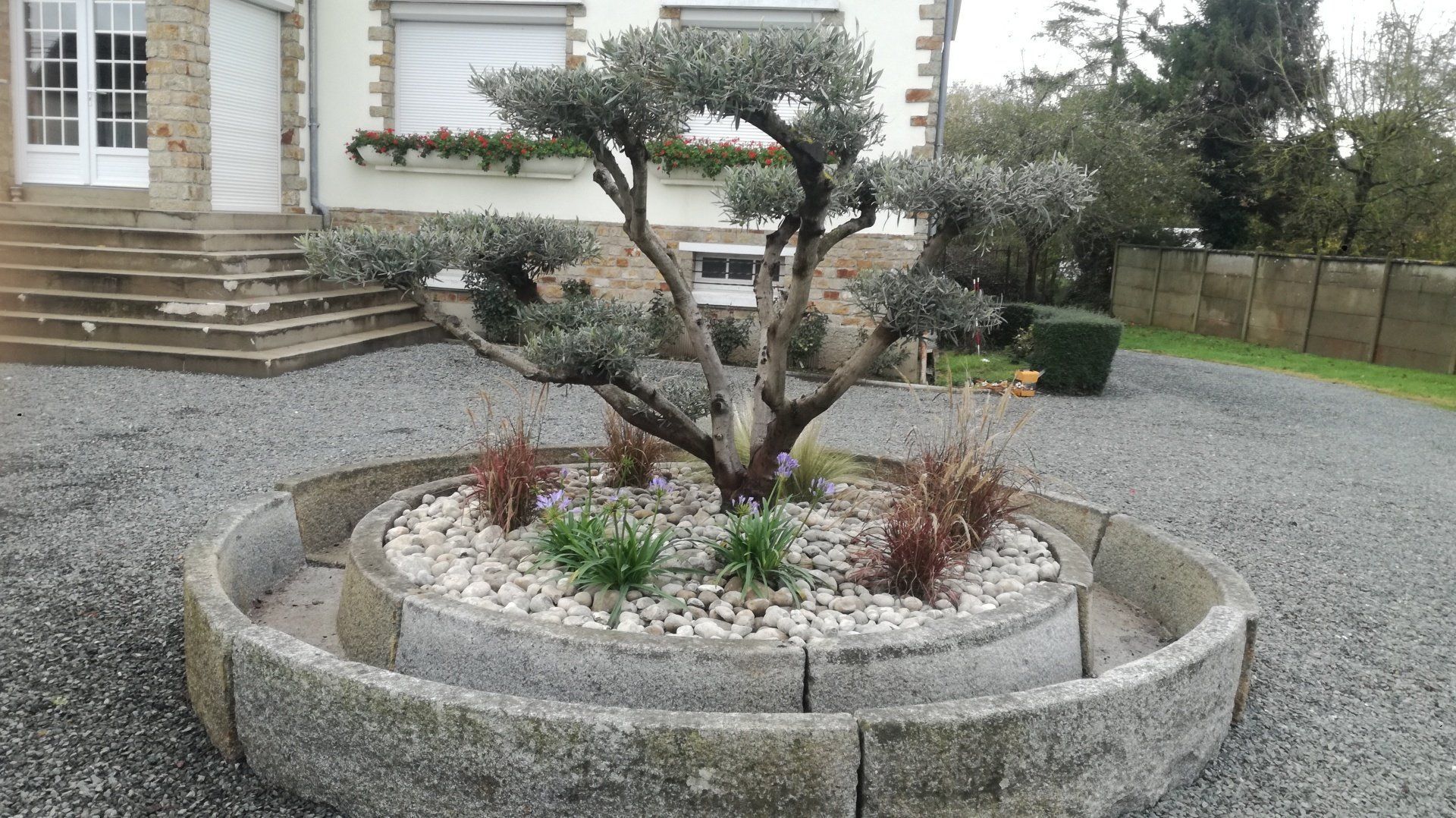 Un arbuste planté sur une création en pierres.