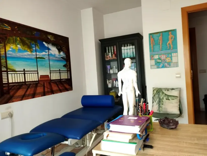 Sala de masajes con camilla azul, maniquí anatómico, decoración mural y escritorio de madera.