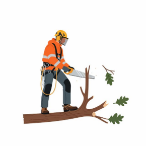 Élagueur d'arbre dangeureux