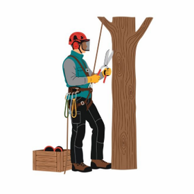 Grimpeur pour l'élagage de vos arbres