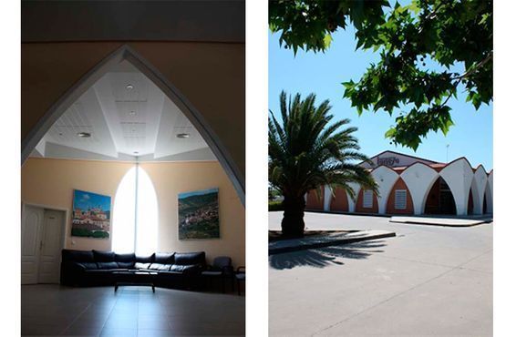 Una foto de una sala de estar y una foto de una palmera.