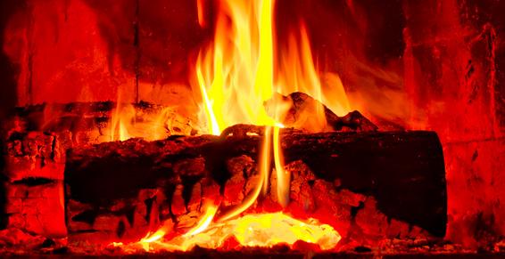 M. Milan Mickaël Exploitation Forestière à Châteauneuf de Galaure