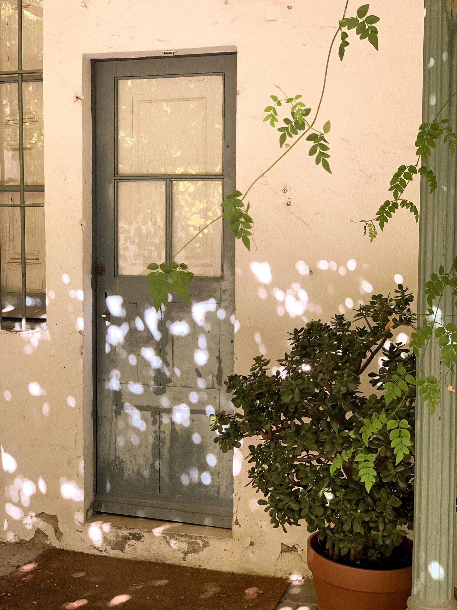 Porta blau pàl·lid en paret d'estuc blanc, amb test de vegetació i llum solar tacada.