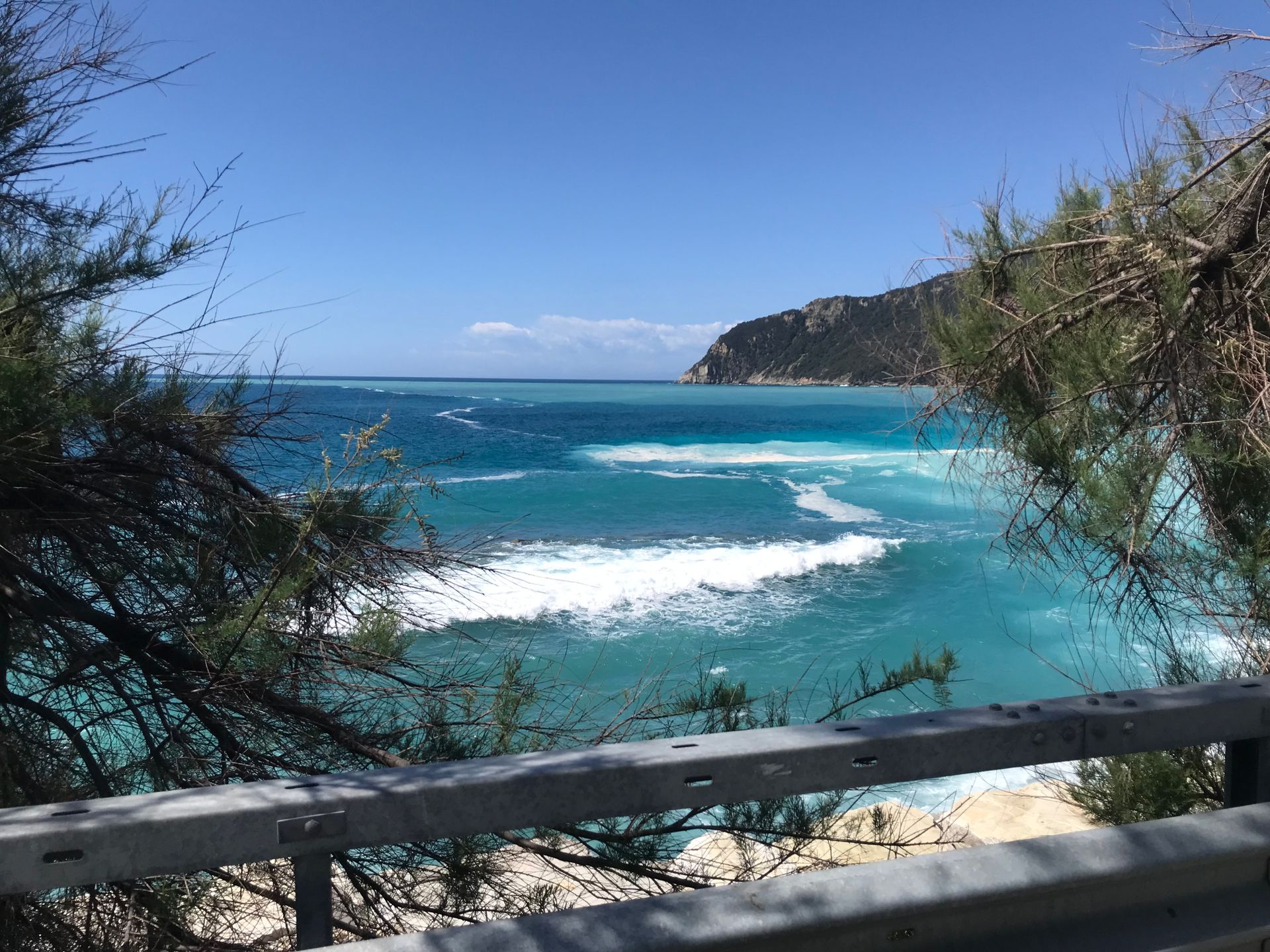 Ein Blick auf das Meer von einem Zaun mit Bäumen im Vordergrund