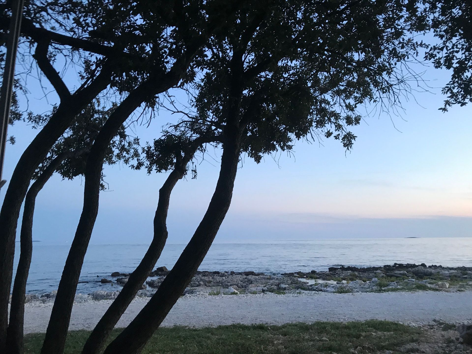 Ein Baum mit Blick auf das Meer dahinter