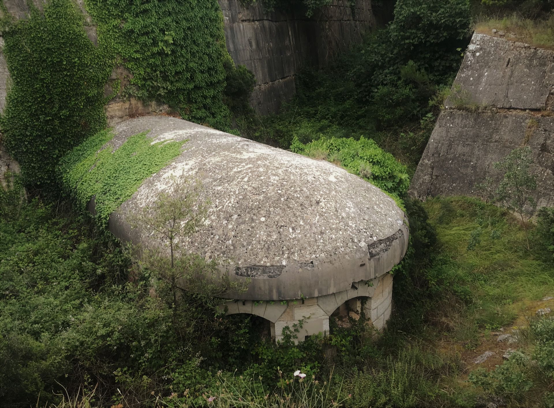 Eine große Betonkonstruktion ist von Bäumen und Gras umgeben.