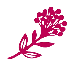 Tija floral magenta amb un grup de flors petites i rodones.