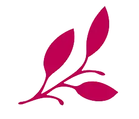 Tija floral magenta amb un grup de flors petites i rodones.