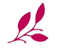 Fulles estilitzades de color magenta sobre fons blanc.