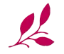 Fulles estilitzades de color magenta sobre fons blanc.