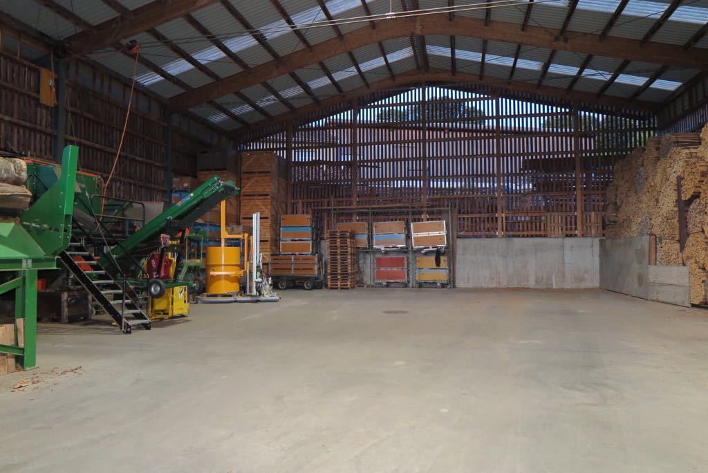 Produktionshalle - Wenger Fritz Forstunternehmen