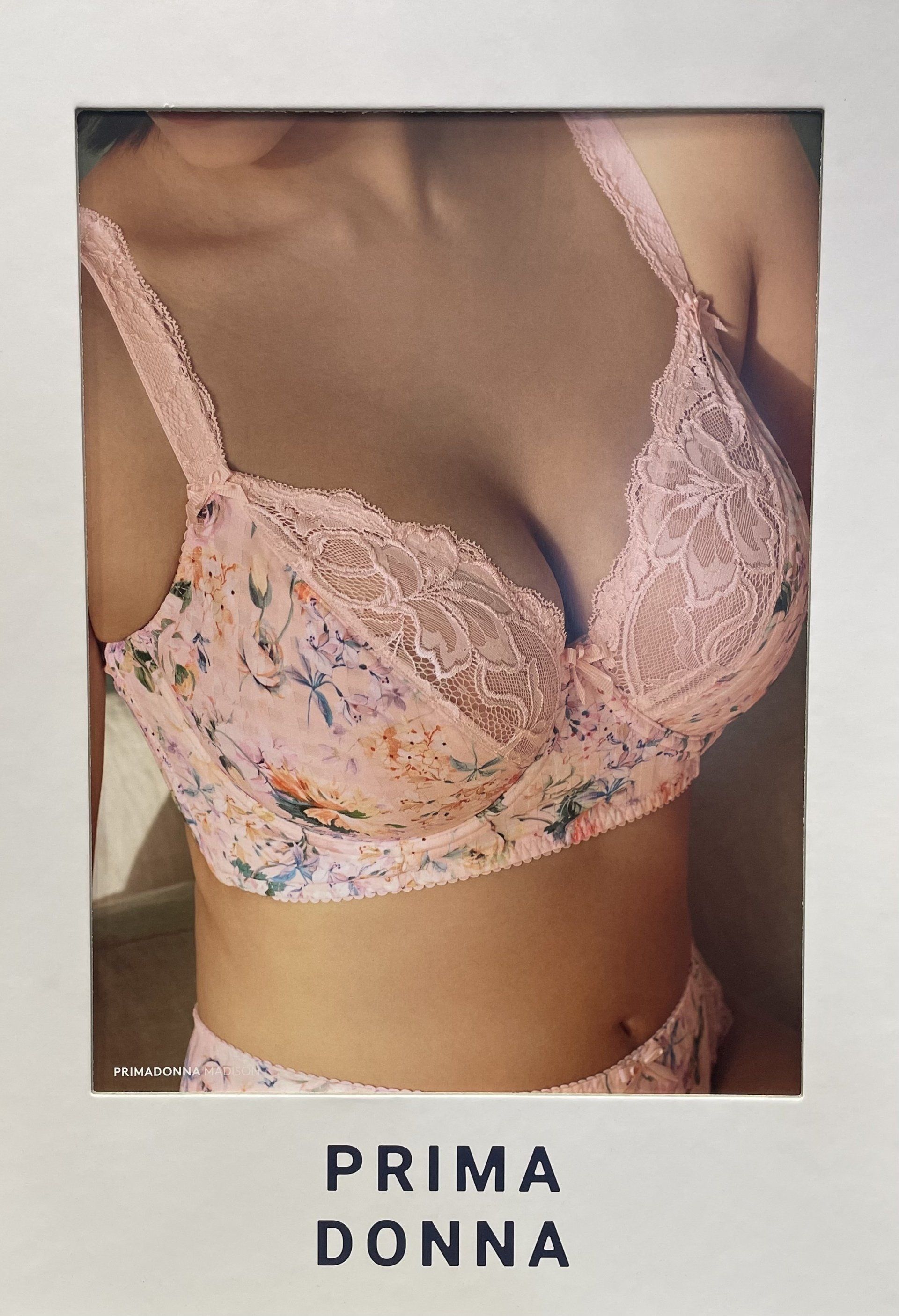 Soutien-gorge grande taille