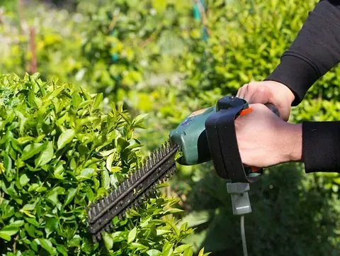 Persona que utiliza una podadora de setos para cortar un arbusto verde en un entorno al aire libre.