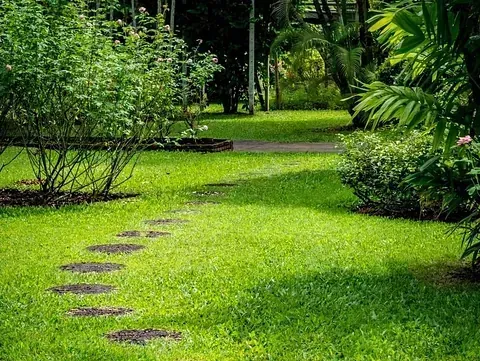 Césped verde con un camino de piedra que atraviesa el jardín, rodeado de plantas y árboles.